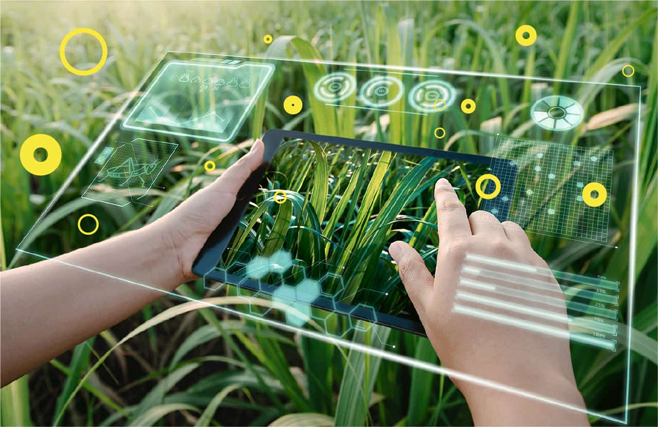 Data Science in Agriculture: Smart Farming and Yield Prediction