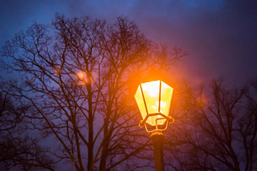 Landscape Lighting Ideas for Luxury Homes and Commercial Projects