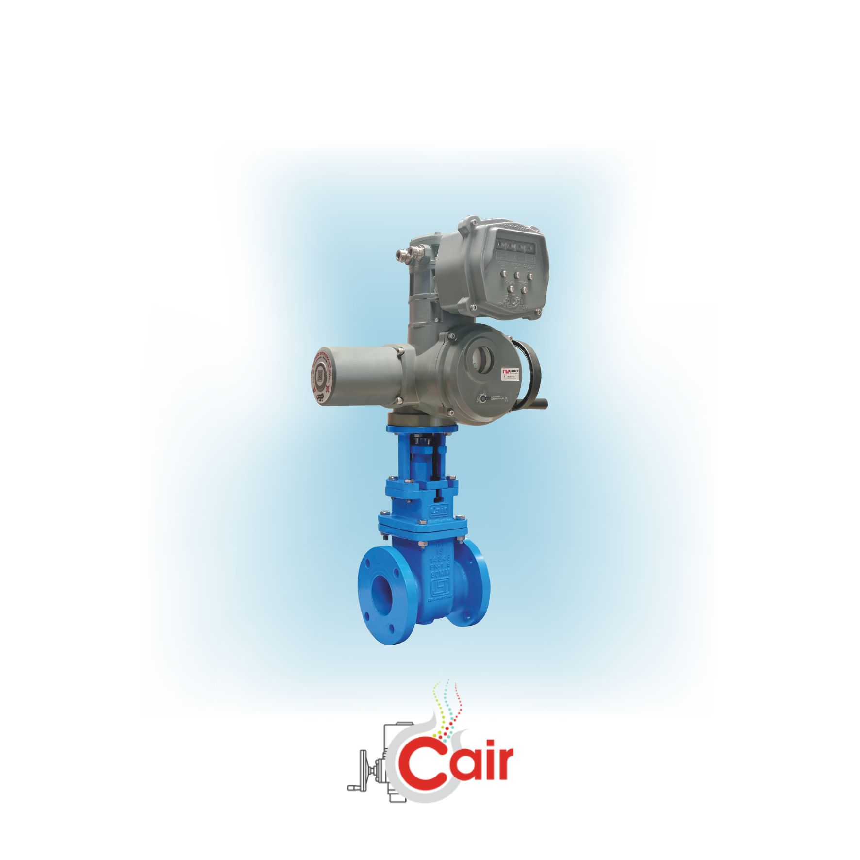High-Quality Sluice Valves Manufactured in Ahmedabad
